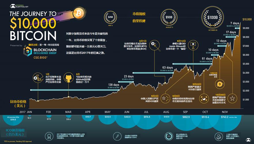 虚拟币的发行者：探索数字货币的背后真相