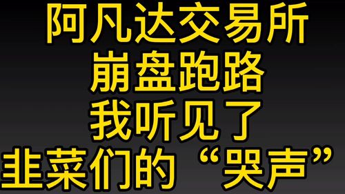 币圈交易最大出金,币圈最大资金盘跑路