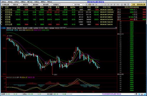 贵金属实时行情分析软件,贵金属行情走势软件