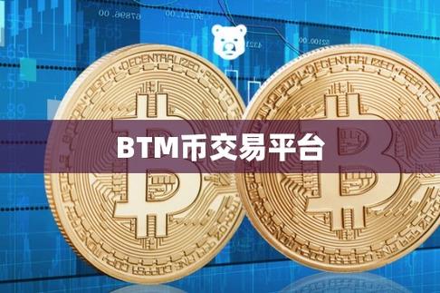 btm币简介,btm币最新资讯