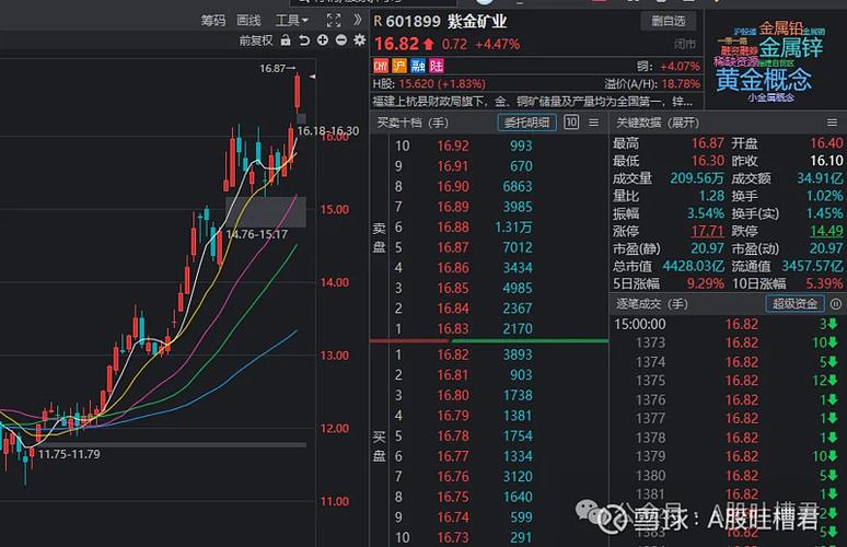 香港虚拟币最新消息央视,香港虚拟币最新消息央视网