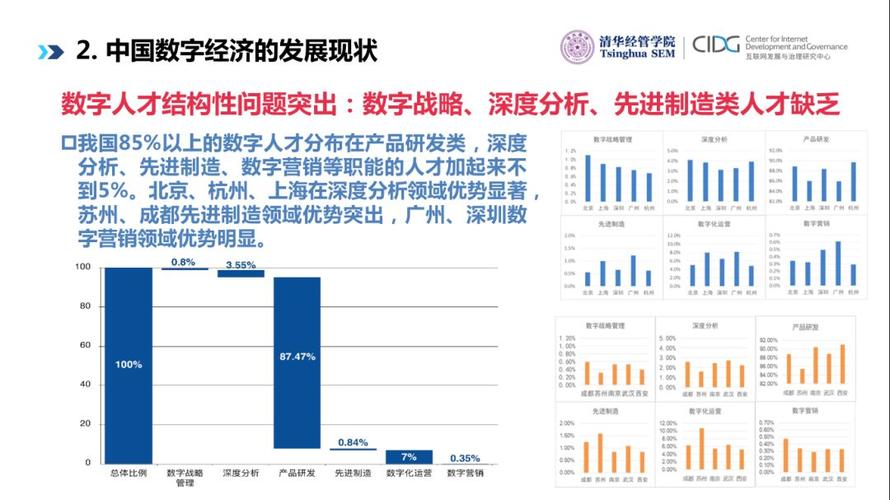 数字化转型与数字经济,数字经济发展和数字化转型