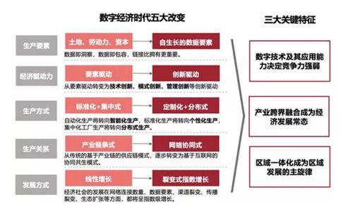 数字化转型与数字经济,数字经济发展和数字化转型