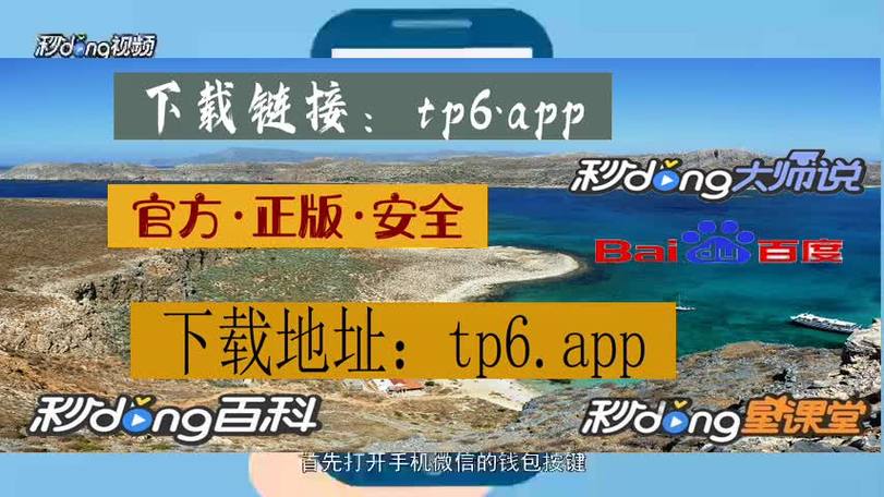 TP官方网址下载,tptp官网