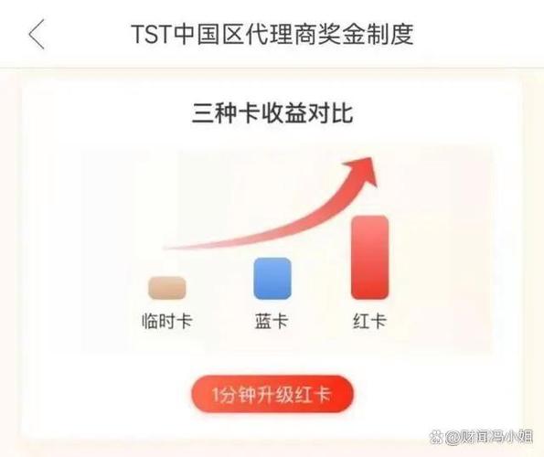 越南虚拟传销币最新消息,越南虚拟传销币最新消息查询