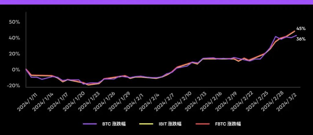 文章鄂州虚拟币市场最新动态解析