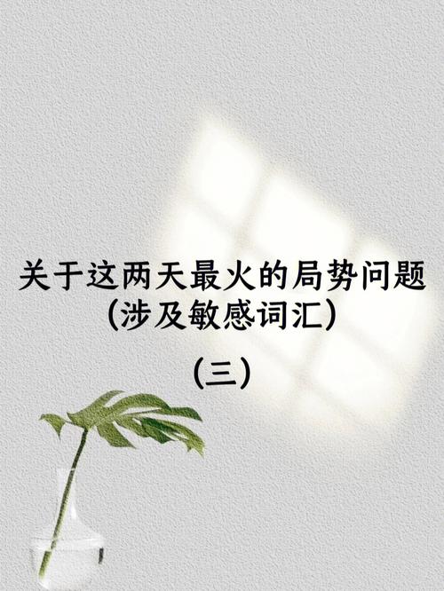 包含帮信罪中间人介绍人怎么判的词条