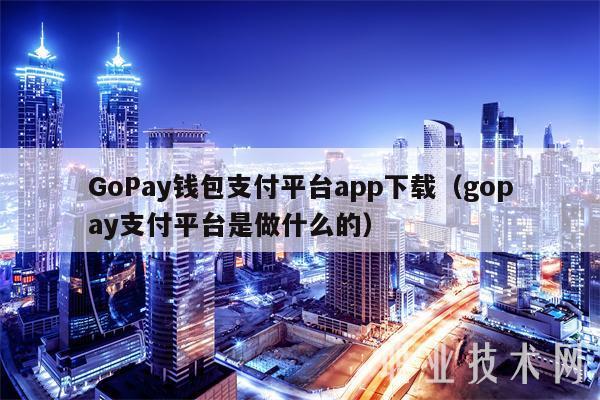 探索GoPay：未来虚拟币管理的革新之选