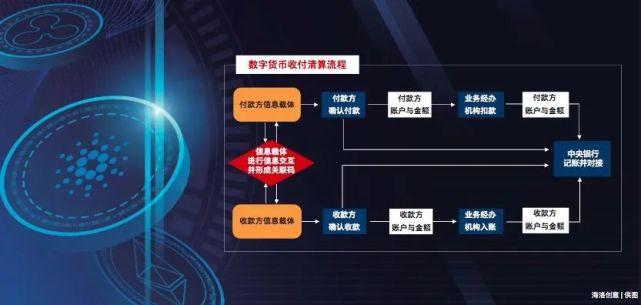 交易所登录流程虚拟币：探索数字货币交易的入口