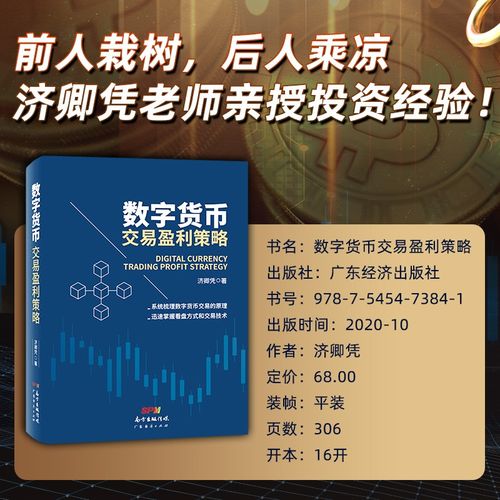 虚拟币交易所卖家如何赚钱：揭秘数字货币交易的盈利策略