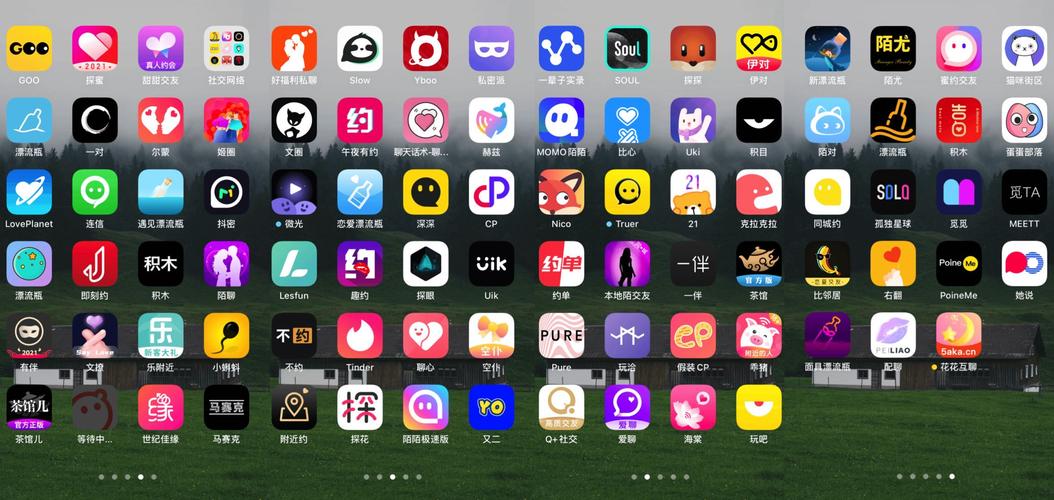 吃快餐的交友app,吃快餐的交友APP