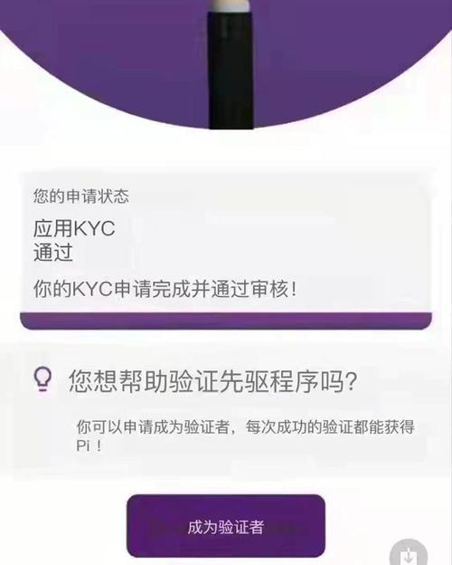 pi币kyc认证二次提交入口,pi币kyc申请成功过后怎么弄