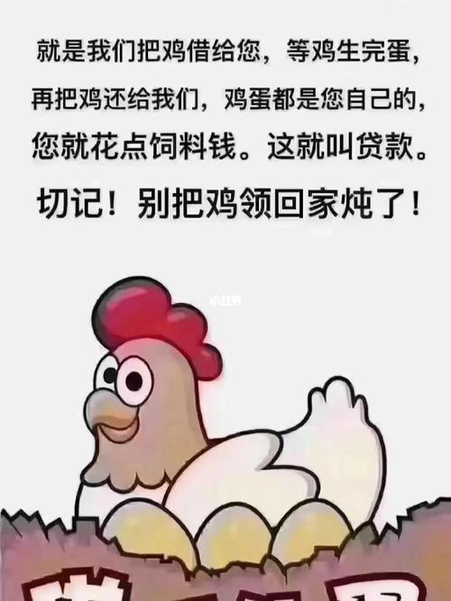 速贝钱包借款,速贝钱包借款黑户能借吗是真的吗