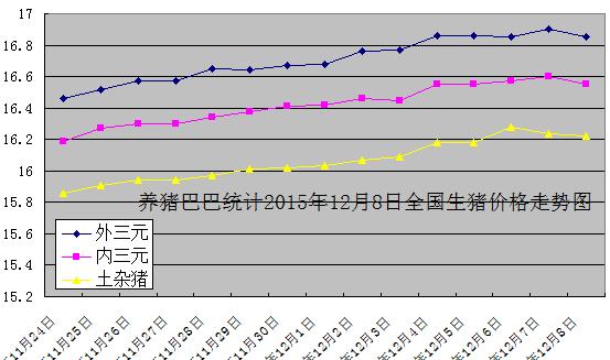 pig猪币今日价格,pig币猪币数量