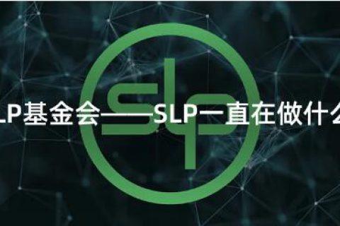 slp币是什么币,slp币到底是什么