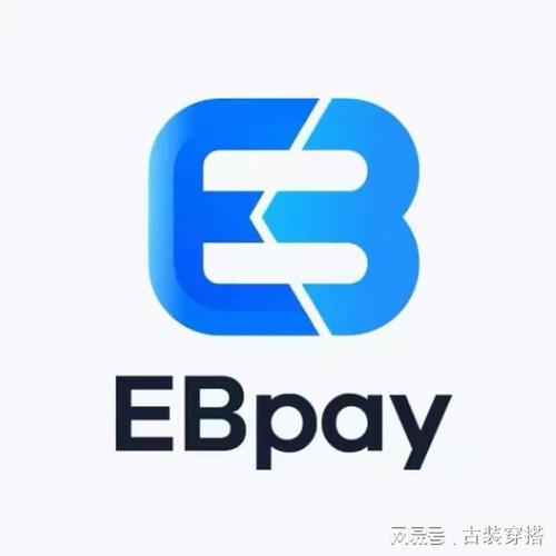 EBpay：数字支付的革新之旅