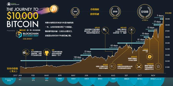 探索数字货币的宇宙：主流币种大揭秘