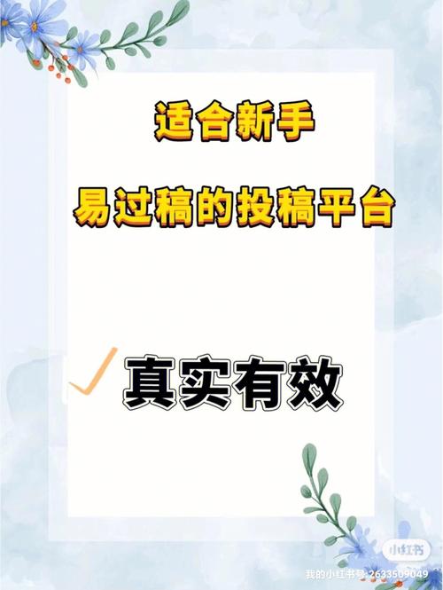 估号平台：发现隐藏的宝藏