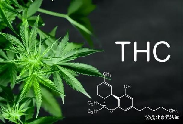 thc虚拟币最新信息,tlc虚拟币