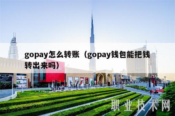 关于gopay怎么样的信息