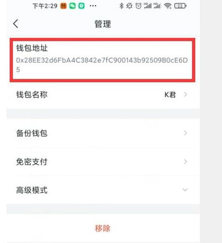 虚拟币的钱包地址怎么填,虚拟币的钱包地址怎么填的