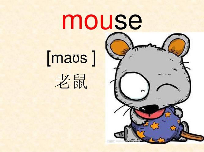 rat老鼠英文怎么读,老鼠英文rat和mouse