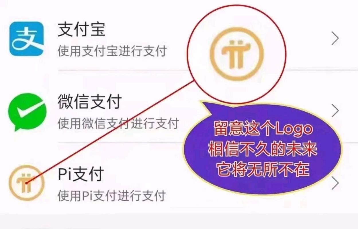 pi支付是什么意思,pi支付卡