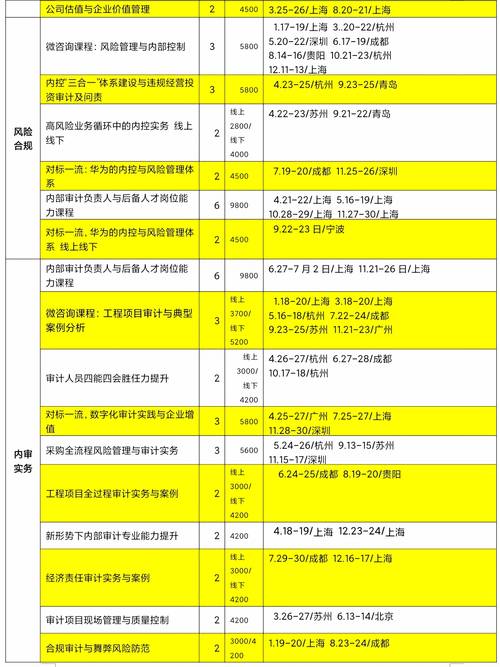 虚拟币合规审查办法最新,虚拟币审计