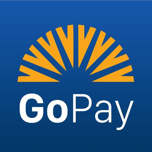 gopay支付平台会冻结银行卡,gopay支付平台可靠吗