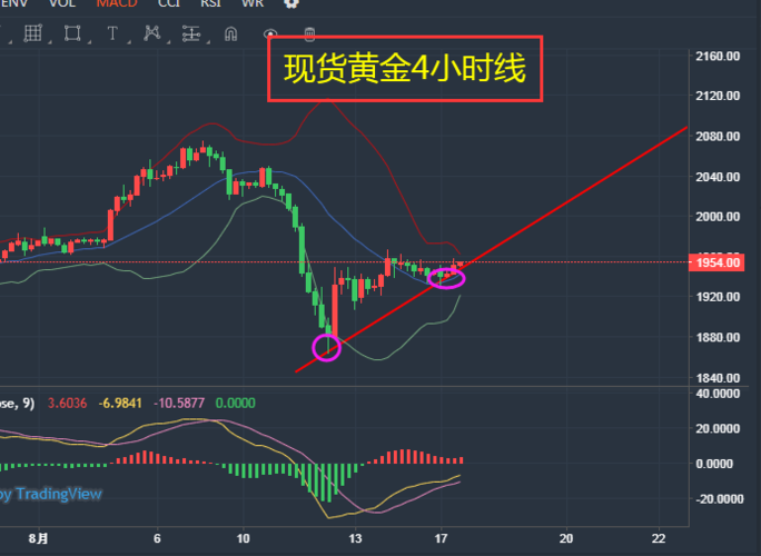 现货黄金走势图软件,看黄金涨跌看什么软件