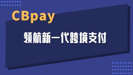 cbpay币卖不出去,cbt币还能活多久