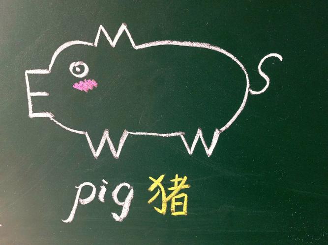 pig币提到什么钱包有分红,pig币能提到imtoken吗